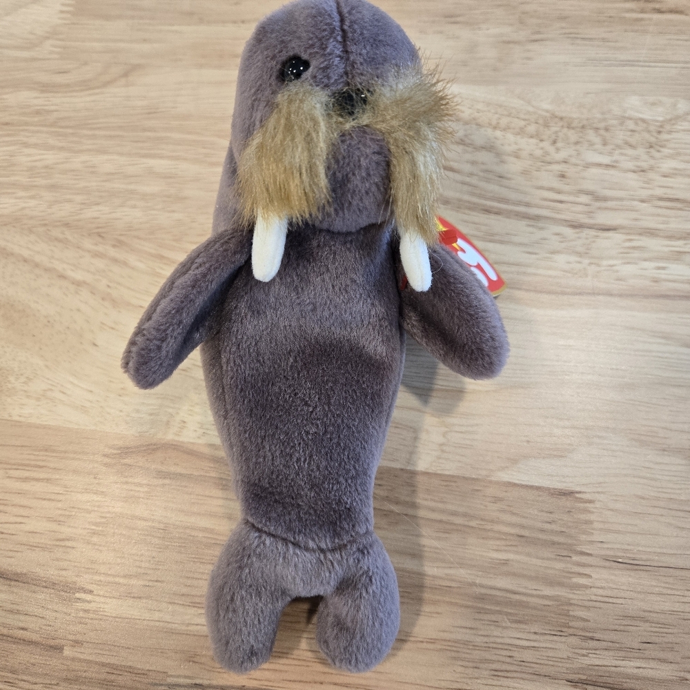 TY Beanie Baby JOLLY the Walrus (7 inch)  Stuffed Animal Toy New With Tags‎